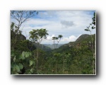 2008-01-09 Chapada (47)